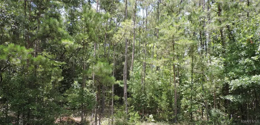 0 Ridge Road, Greenville, AL 36037 - Image #2