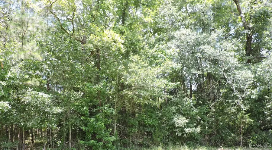 0 Ridge Road, Greenville, AL 36037 - Image #3