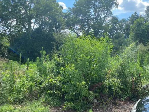 1303 Maxey Street, Selma, AL 36701