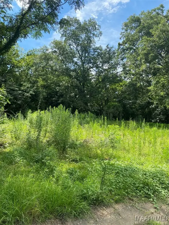 1526 Lawrence Street, Selma, AL 36701