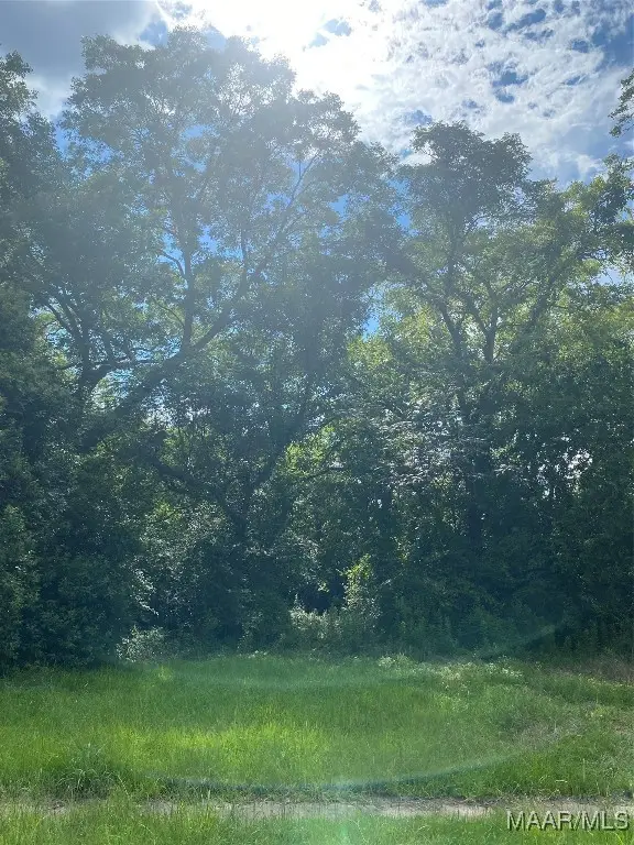 1709 Weaver Street, Selma, AL 36701 - Image #1