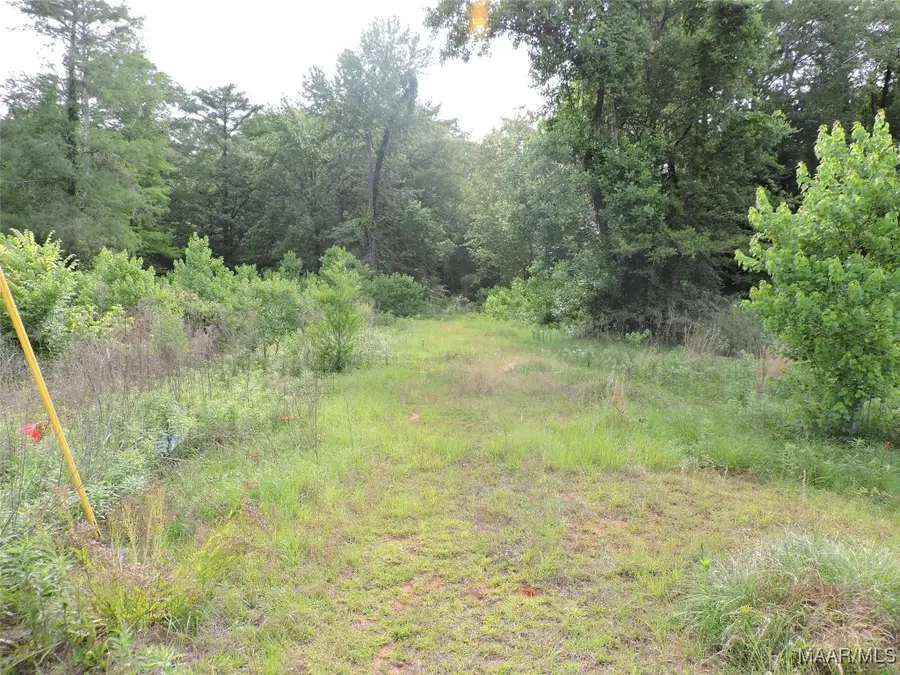 0 Mobile Road, Greenville, AL 36037 - Image #3