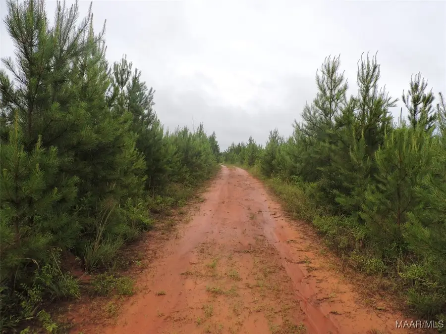 0 Montezuma Road, Greenville, AL 36037 - Image #3