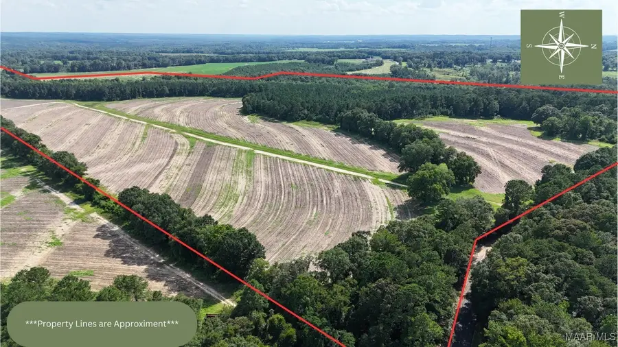 216 County Road 201 Road, Ariton, AL 36010 - Image #2