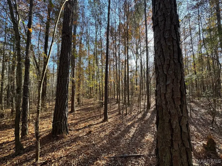 2 Jug Factory Road, Wetumpka, AL 36093 - Image #3