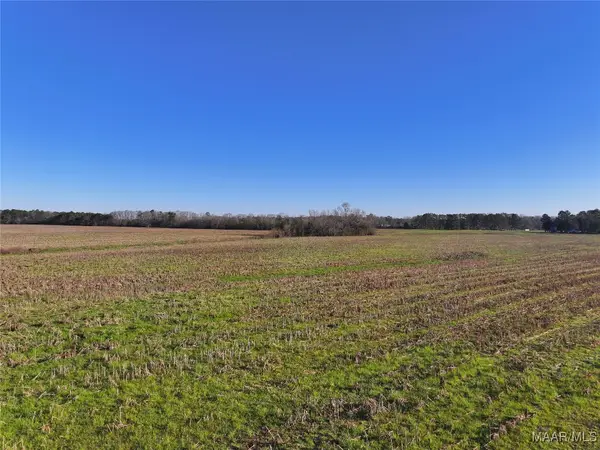 1 County Road 22 Road, Union Springs, AL 36086