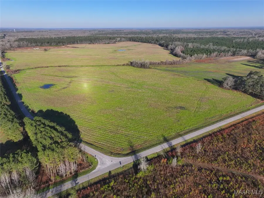 1 County Road 22 Road, Union Springs, AL 36086 - Image #2