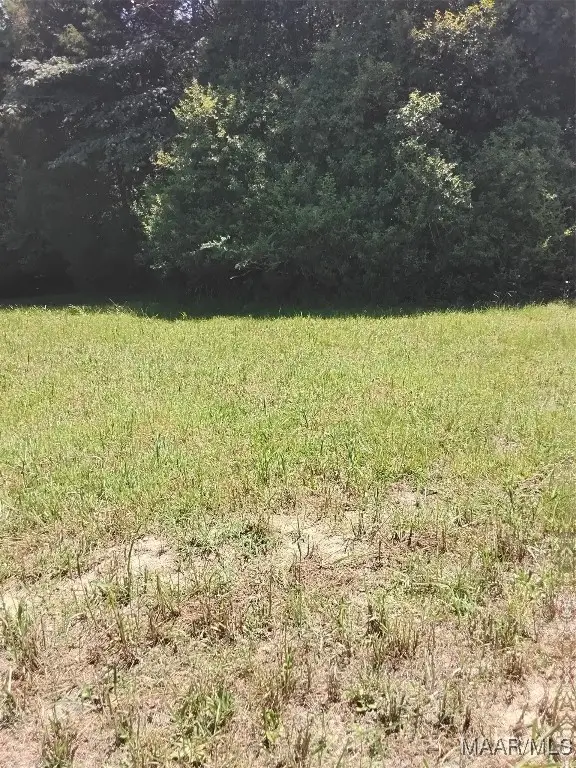 124 Crown Ridge Drive, Selma, AL 36701 - Image #2