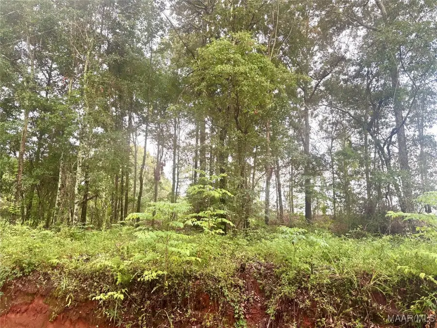 179 Tyson Lane, Greenville, AL 36037 - Image #3