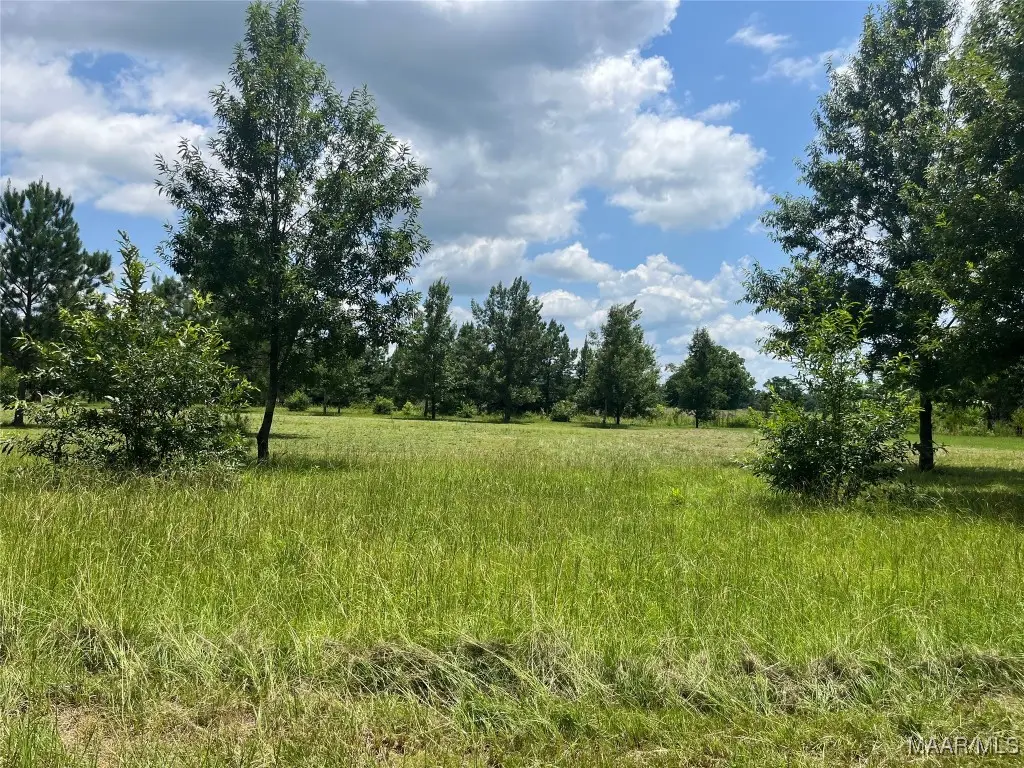 0 County Road 953 Road, Orrville, AL 36767 - Image #1