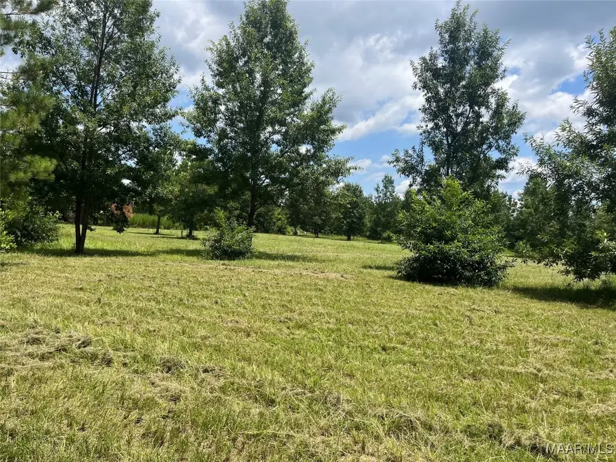 0 County Road 953 Road, Orrville, AL 36767 - Image #2