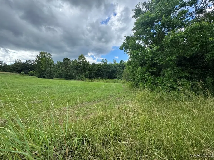 Parcel 2 Whitetail Ridge, Elmore, AL 36025 - Image #3