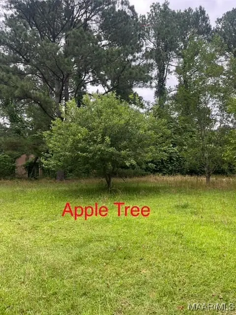 0 Cherokee Trail, Tallassee, AL 36078 - #2
