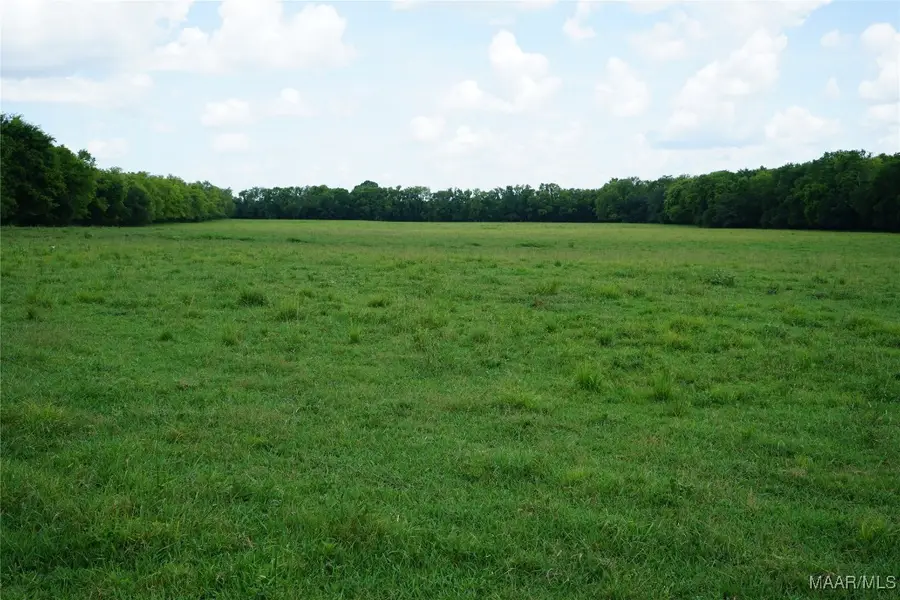 1105 Rittenour Road, Pike Road, AL 36064 - Image #2