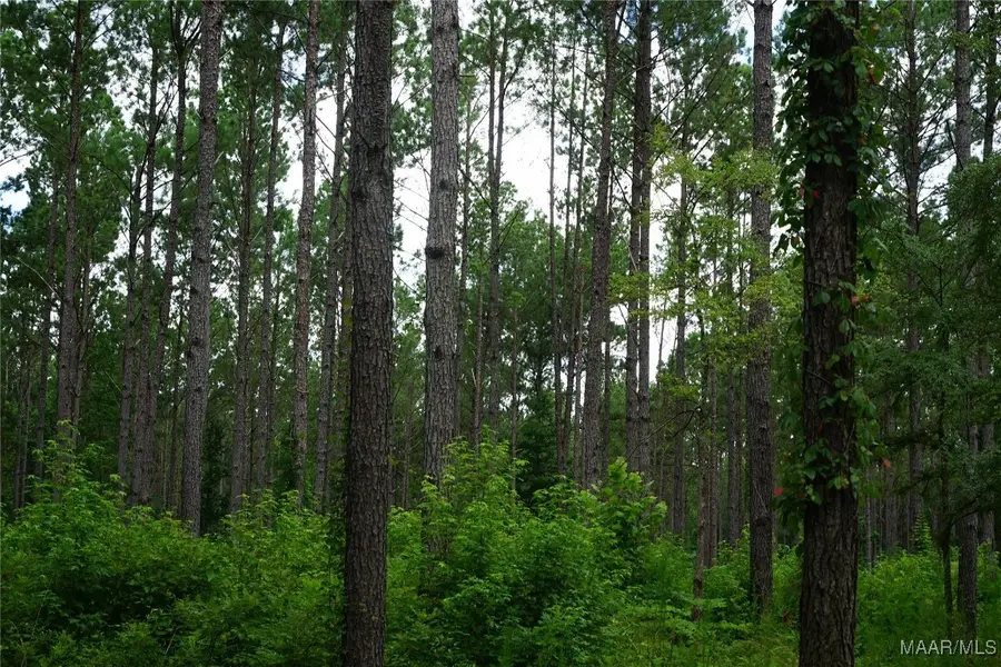 686 Pugh Road, Mathews, AL 36052 - Image #3