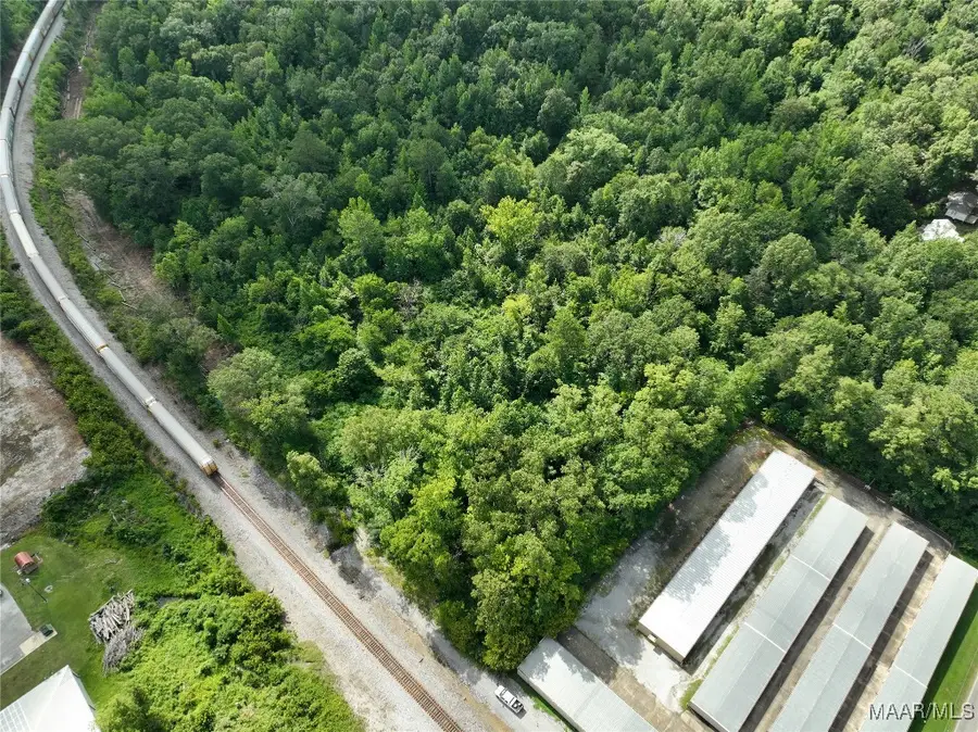 0 Coleman Street, Pell City, AL 35128 - Image #2