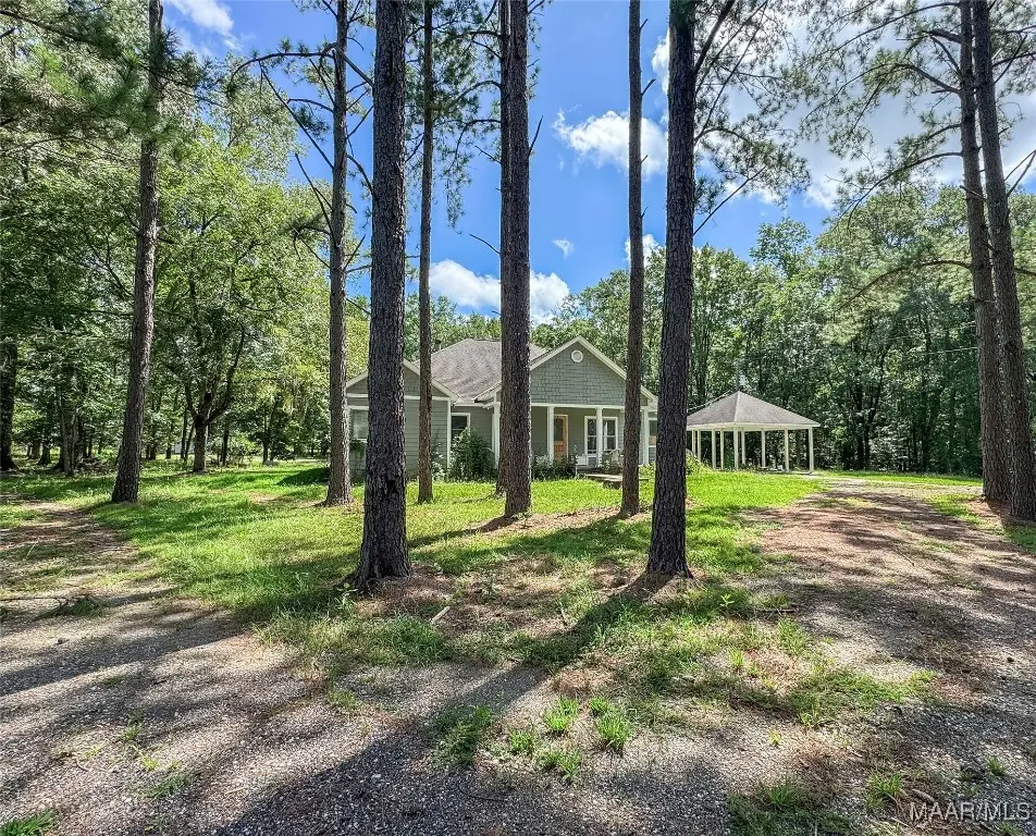 13819 Old Pike Road, Mathews, AL 36052 - Image #1
