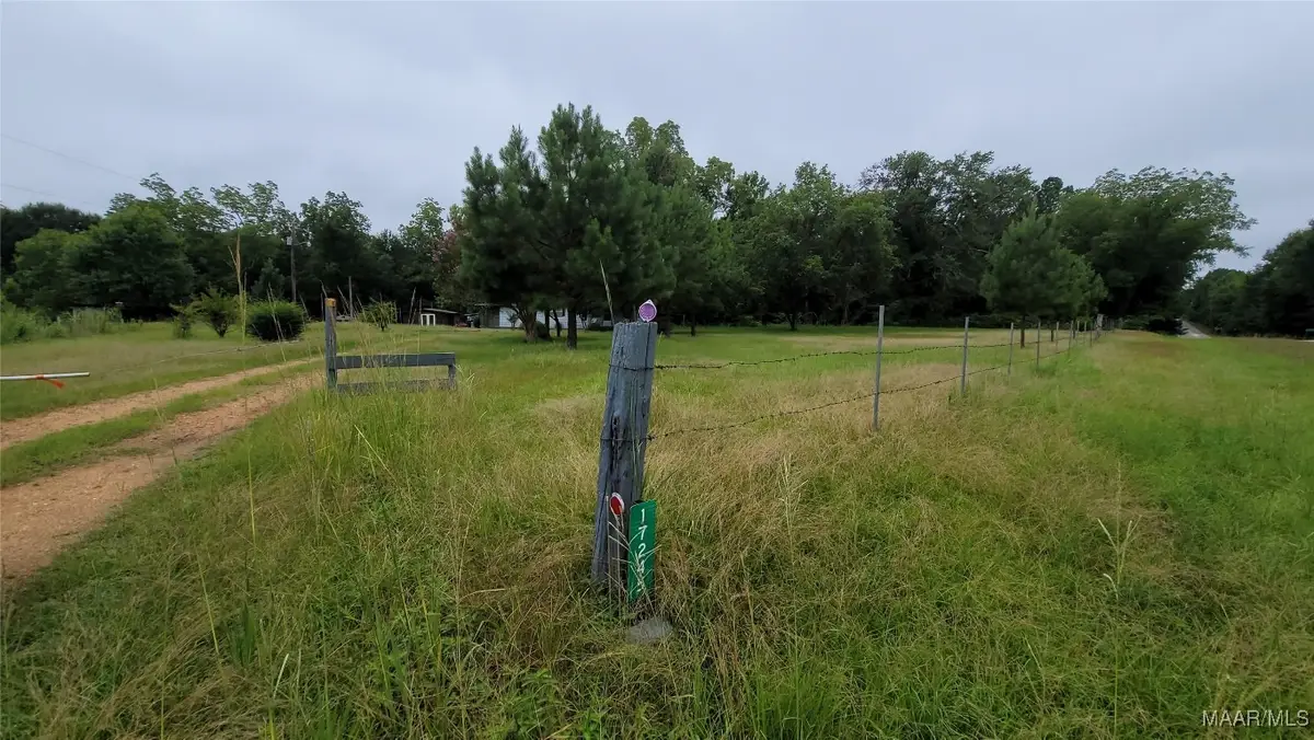 17245 County Road 37 Highway S, Letohatchee, AL 36047 - Image #1