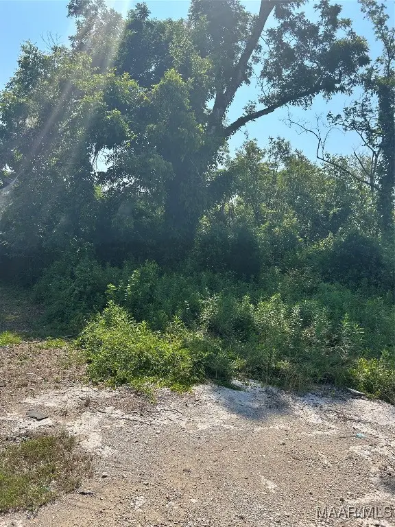 1510 N Maxey Street, Selma, AL 36703 - Image #3