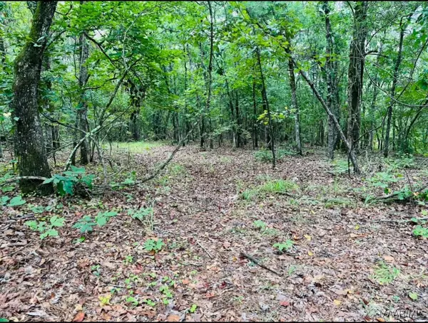 0 Jehle Road, Wetumpka, AL 36093