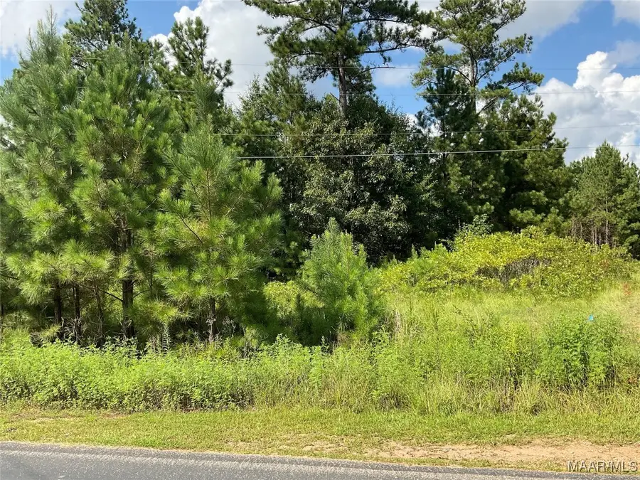 Lot 5 Asbury Ridge, Tallassee, AL 36078 - #2