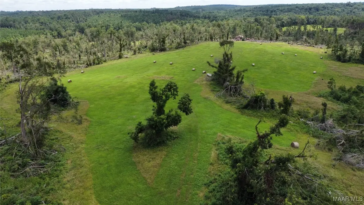 3751 Butter And Egg Road, Troy, AL 36081 - Image #1