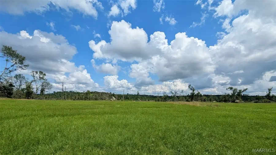 3751 Butter And Egg Road, Troy, AL 36081 - Image #3