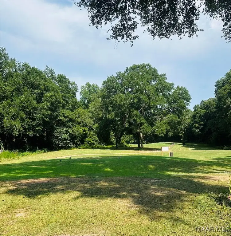 258 Ocmulgee Drive, Valley Grande, AL 36701 - Image #2