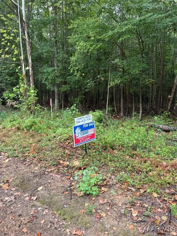 00 County Road 157 Road, Selma, AL 36701