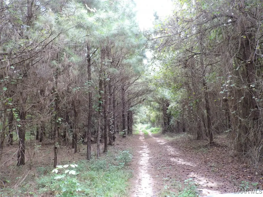 0 Davenport Road, Greenville, AL 36037 - Image #2