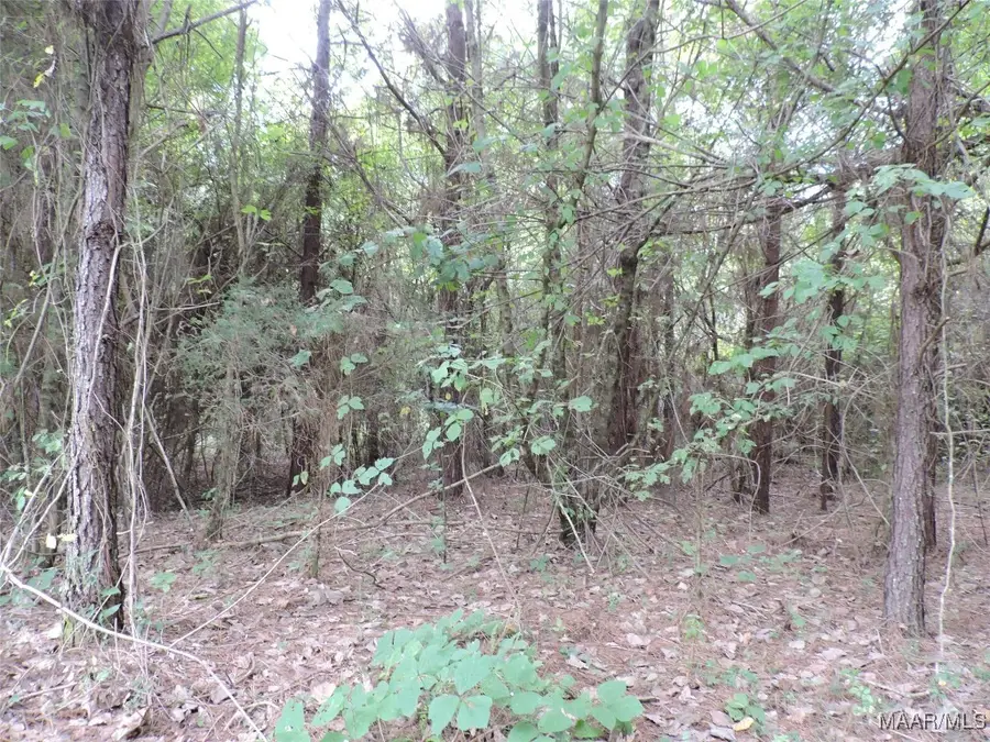 0 Davenport Road, Greenville, AL 36037 - Image #3