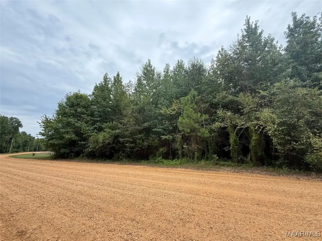 0 Twin Rivers Drive, Orrville, AL 36767 - Image #1