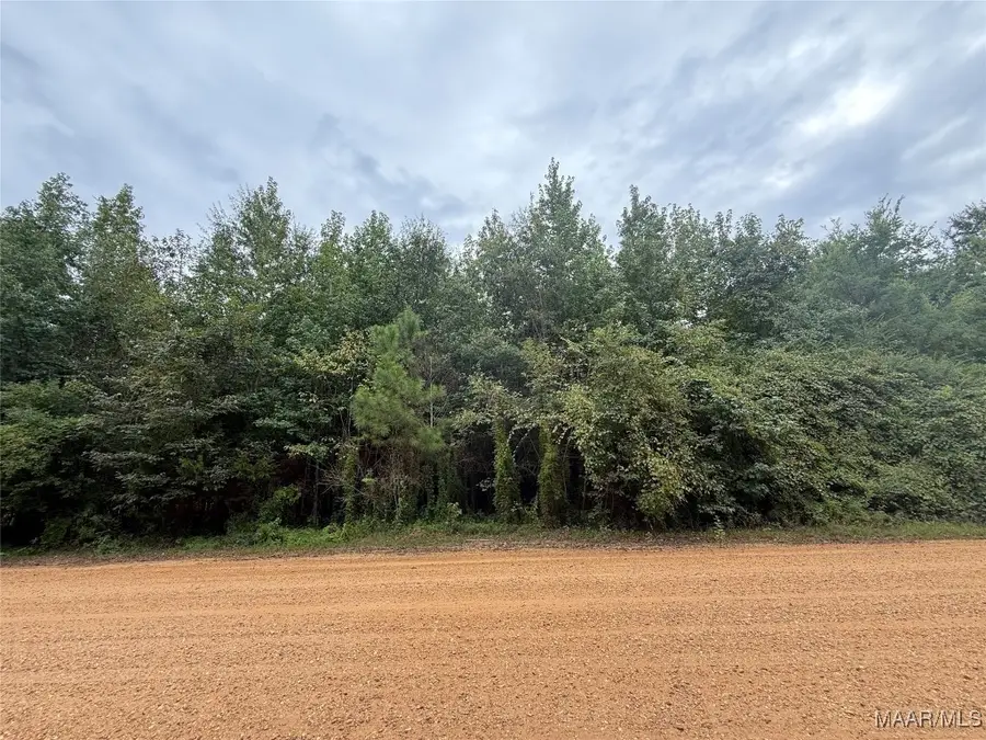 0 Twin Rivers Drive, Orrville, AL 36767 - Image #3