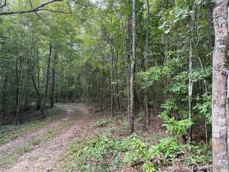 0 Hunter Loop Road, Marbury, AL 36051 - Image #2