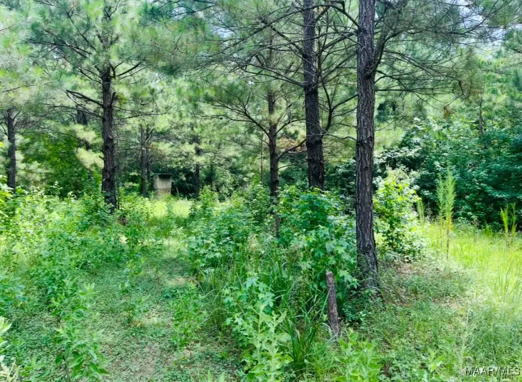 0 Knight Drive, Wetumpka, AL 36092 - Image #1