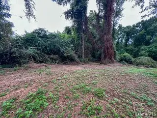 290 Seminole Circle, Coosada, AL 36020 - Image #2