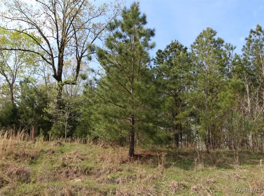 10 Jasmine Trace, Wetumpka, AL 36093 - Image #2