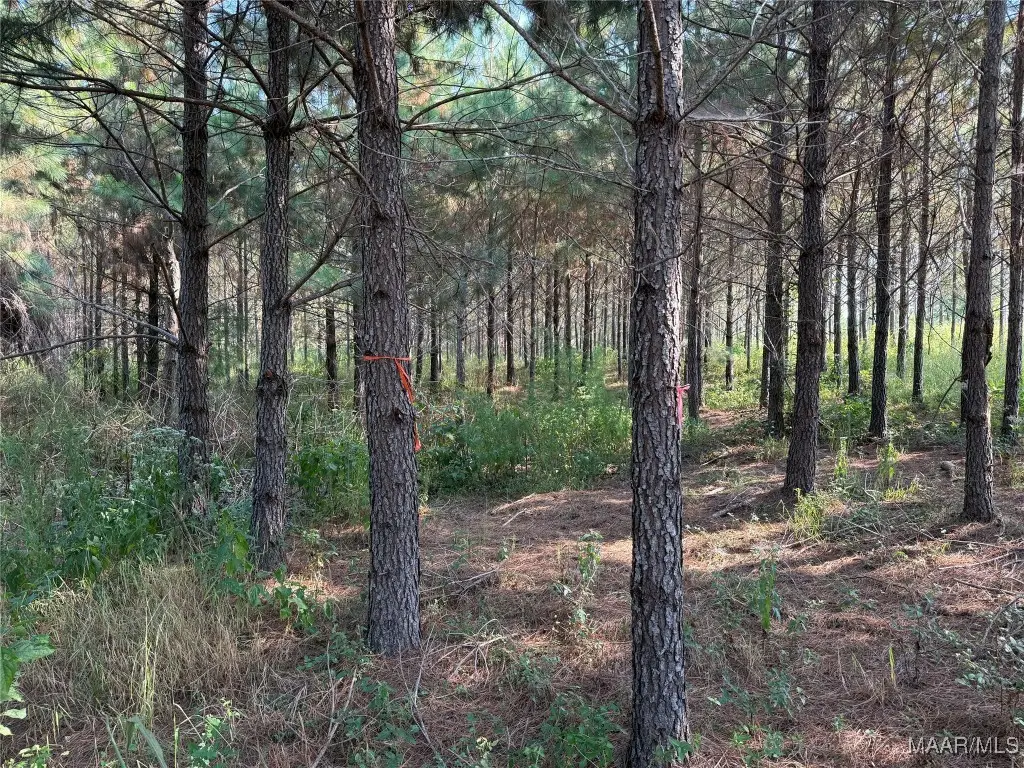 Lot 1 Grass Farm Road, Titus, AL 36080 - Image #1