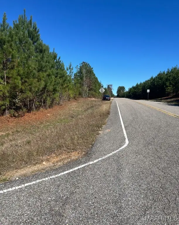Lot 1 Grass Farm Road, Titus, AL 36080 - Image #3