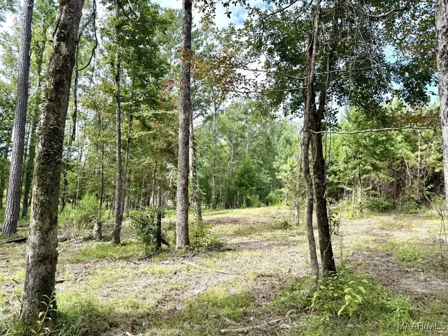 5070 Central Plank Road, Wetumpka, AL 36092 - Image #3