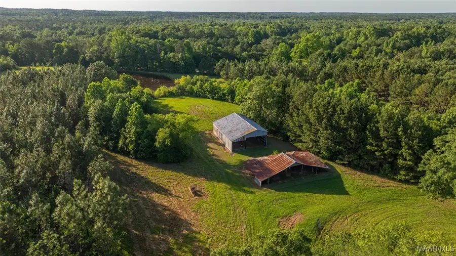 4034 Moore Road, Grady, AL 36036 - Image #2