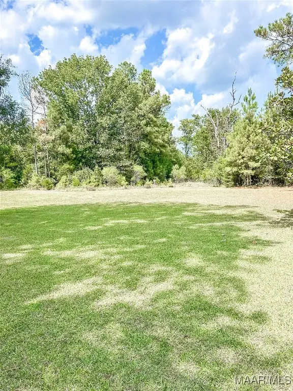 306 Old Marion Junction Road, Selma, AL 36701 - Image #3