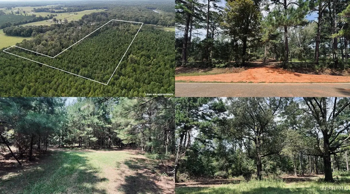 16879 Meriwether Trail, Grady, AL 36036 - Image #1