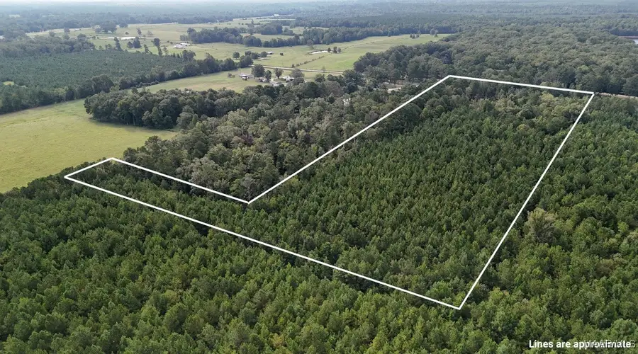 16879 Meriwether Trail, Grady, AL 36036 - Image #3