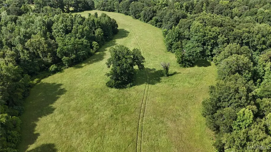 260 Sunflower Road, Inverness, AL 36005 - Image #3