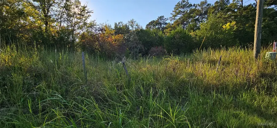 11468 Old Pike Road, Mathews, AL 36052 - Image #2