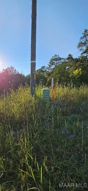 11468 Old Pike Road, Mathews, AL 36052 - Image #3