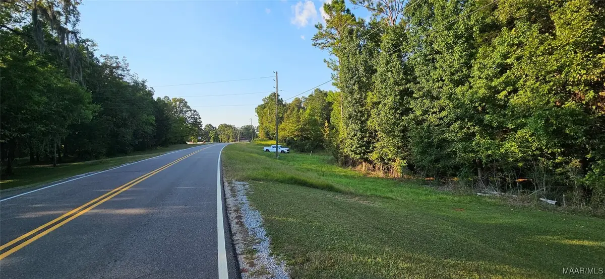 10901 Old Pike Road, Mathews, AL 36052 - Image #1