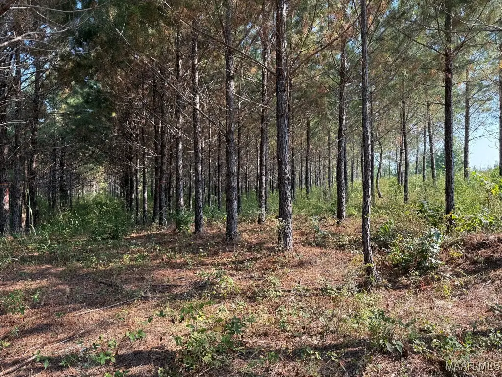 Lot 7 Grass Farm Road, Titus, AL 36092 - Image #1
