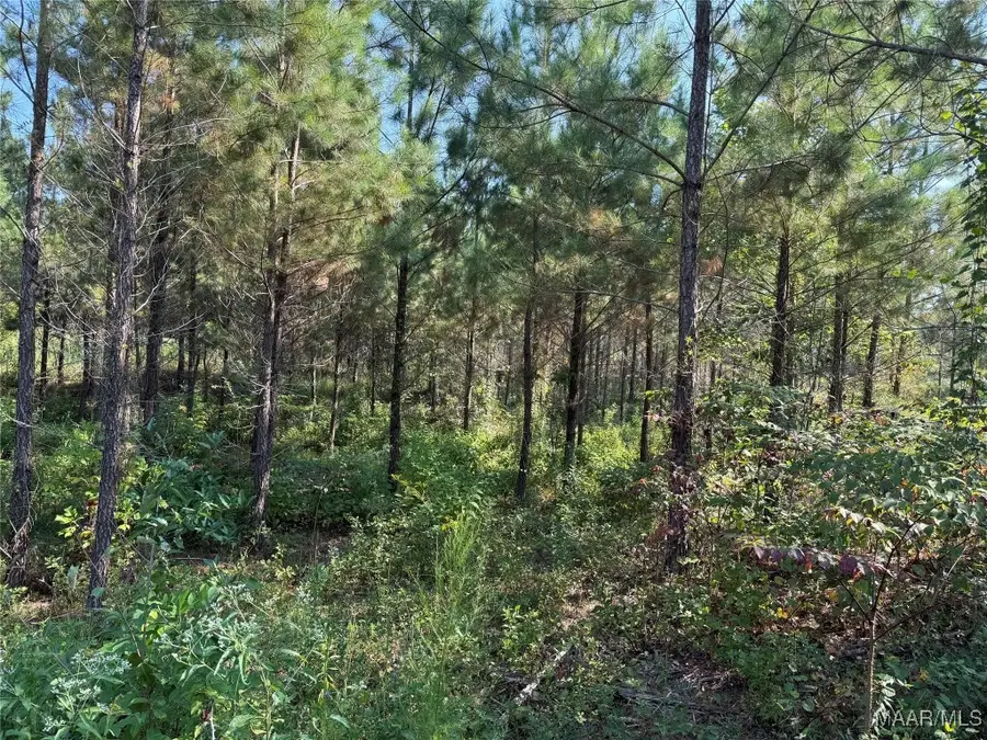 Lot 7 Grass Farm Road, Titus, AL 36092 - Image #2